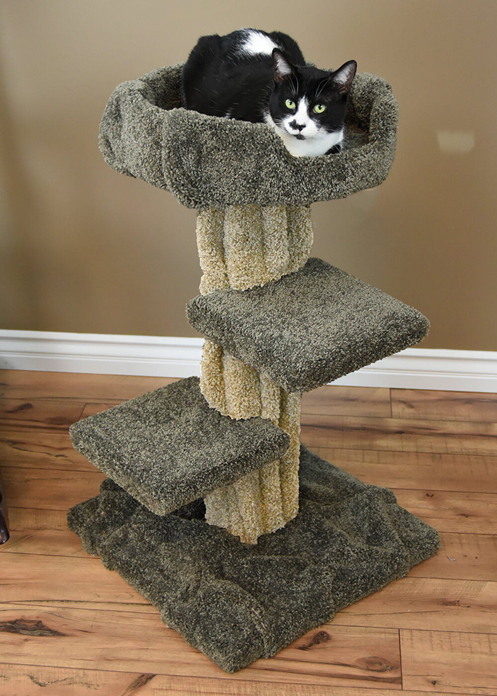 Cat Condo instal the last version for android